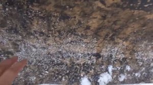 Очень приятная новость – Никита Колесников работает с охотой у Игоря Дыбунова на крыше!