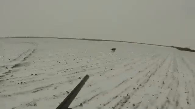 ОХОТА НА ВОЛКА НА КАОДРОЦИКЛА 2021 смотреть онлайн