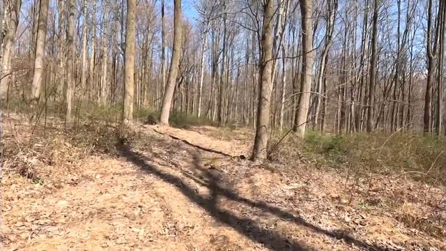 Ariel Rider Grizzly V3 Off Road Test смотреть онлайн