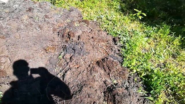 Поиск новых мест для копа.( ### №-13 ) смотреть онлайн