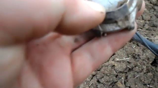 Серебряный гривенник Елизаветы 1746 года.