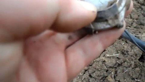 Серебряный гривенник Елизаветы 1746 года.