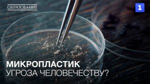Микропластик – угроза человечеству?