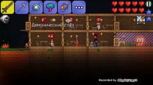 Незваные гости уходят, прохождение Terraria с нуля