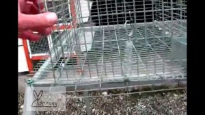 Клетка для кроликов МАКЛЯК-М. Сборка своими руками. Макрол.