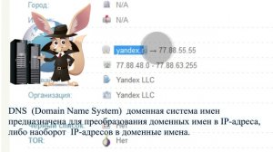 Как по IP узнать доменное имя сайта