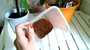 Пересадила Дендробиум Нобиле! Выбранный субстрат.