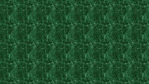 | ПРОВЕРЬ СЕБЯ | ТРЕНАЖЁР №9 ПО РУССКОМУ ЯЗЫКУ (БЕЗУДАРНЫЕ ГЛАСНЫЕ) /1 – 2 КЛАСС/ 5+.