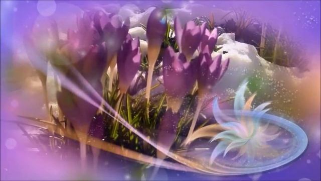 Моим Дорогим Подругам(Монтаж Е.Астахова) смотреть онлайн