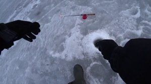 Рыбалка на судака в Камском устье. Закрытие сезона.