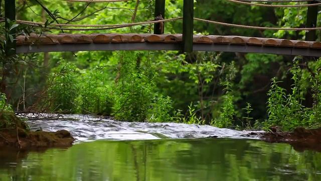 Расслабляющая музыка для снятия стресса. Успокаивающая Фортепианная музыка. Медитация. Музыка сна! смотреть онлайн