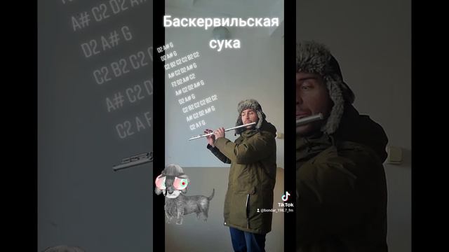 Ленинград - Баскервильская сука на флейте