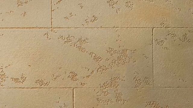 Эффект камня Декоративная штукатурка смотреть онлайн