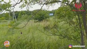 Андрей Деговцов о поликультуре  Введение в пермакультуру