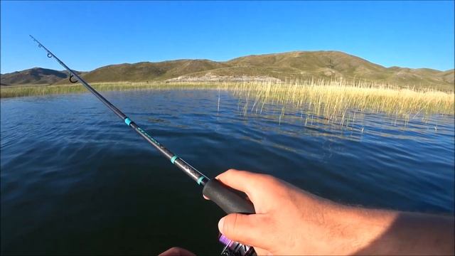 Рыбалка,разогнула крючок, щука на спининг, на лодке #щуканаспининг