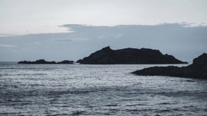 a twilight comfort playlist (driving through forks)