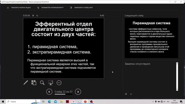 Кора больших полушарий смотреть онлайн