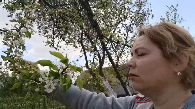 ВЛОГ. ВЫХОДНЫЕ НА ДАЧЕ. ПОДВЯЗКА МАЛИНЫ. смотреть онлайн