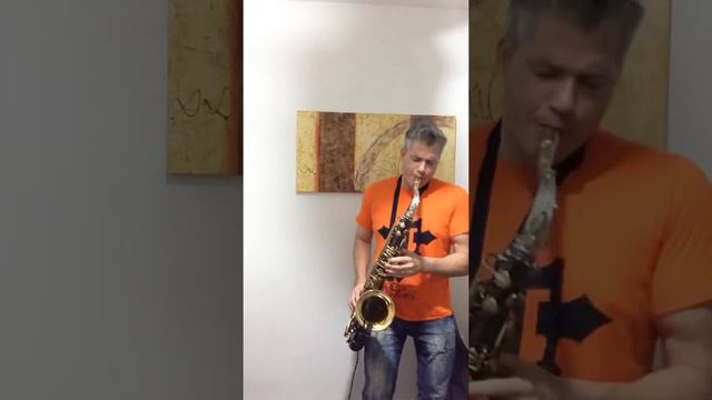 We Don,t Need another hero- Sax Cover (Fábio Costa)