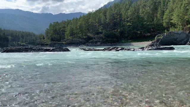 Реки Алтая, река Чемал впадает в реку Катунь смотреть онлайн