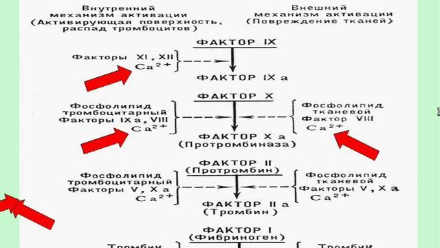 10.3 Гипокальциемия