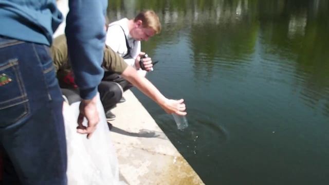 запускаем малька щуки,дочь помогает смотреть онлайн