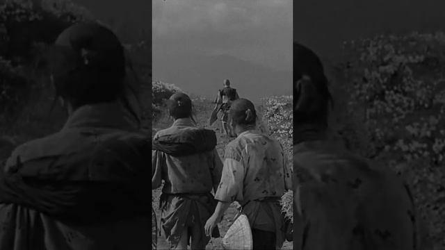 🇯🇵Seven Samurai (1954)  Akira Kurosawa     #akirakurosawa #japan #cinema