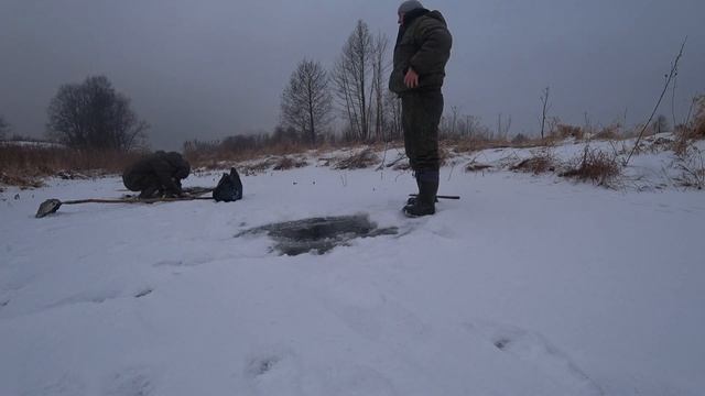 ЛУЧШАЯ НАЖИВКА ДЛЯ ЗИМНЕЙ РЫБАЛКИ КОЗЯВКА. КАК ДОБЫТЬ КОЗЯВКУ ЗИМОЙ В ПРОРУБЕ ПОД ЛЬДОМ