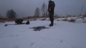 ЛУЧШАЯ НАЖИВКА ДЛЯ ЗИМНЕЙ РЫБАЛКИ "КОЗЯВКА". КАК ДОБЫТЬ КОЗЯВКУ ЗИМОЙ В ПРОРУБЕ ПОД ЛЬДОМ