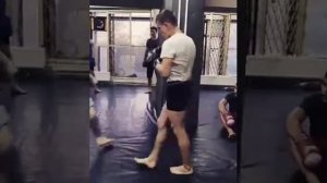 наработка бек-кика #MMA