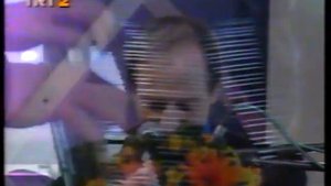 ESKİ DOSTLAR GÖKSEL KORTAY