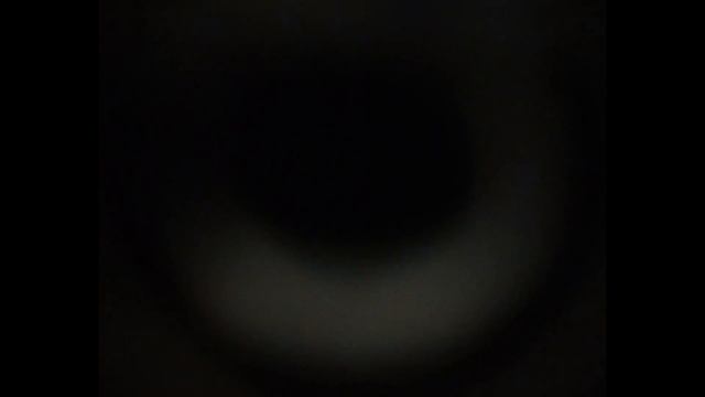 Икра креветки под микроскопом/shrimp caviar смотреть онлайн