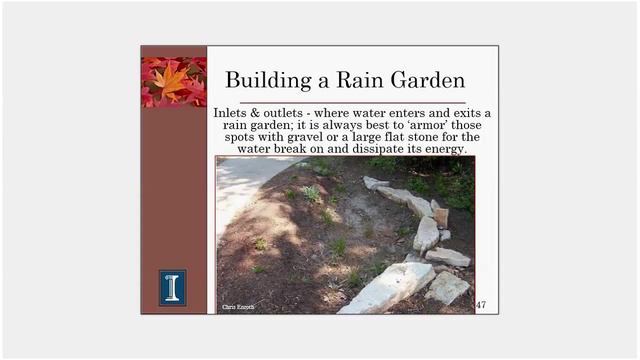 Four Seasons Gardening Series -  Rain Gardens