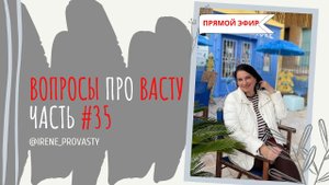 Где запланировать санузел и куда поставить телевизор по Васту