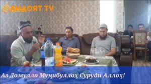 Домло Мужибали Суруди Аллох