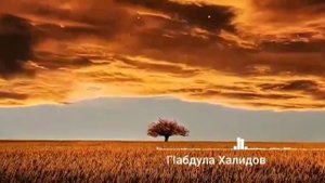 НАШИД НА АВАРСКОМ.АБДУЛЛА ХАЛИТОВ.