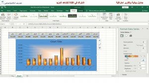 مايكروسوفت Microsoft Excel  2021  جداول بيانية تقارير احترافية