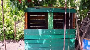 Как правильно и чем кормить червей старатель.