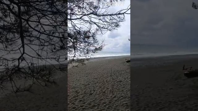 Абхазия. Пляж Пицунда. Обстановка на пляже море и погода сегодня 20 октября 2023