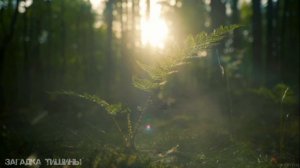 МАНТРА БЕЛОЙ ТАРЫ. Помощь в трудных ситуациях