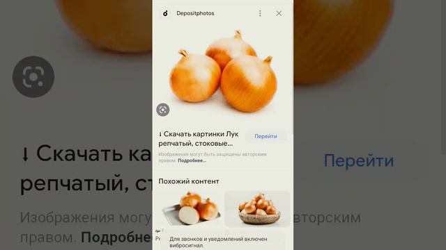 пельмени хорошие пельмени-это очень вкусно на самом деле. рецепт простой много мяса мало теста.