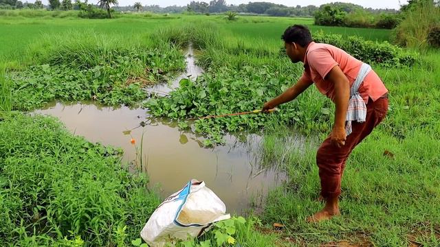 Fishing Video 😯| The fun of fishing with a hook in the village canal is different 🐠 Best rod fishin смотреть онлайн