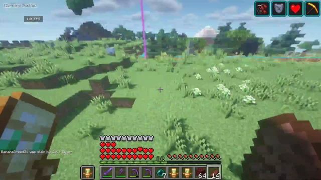 Public Lifesteal SMP (Minecraft Bedrock + Java) смотреть онлайн