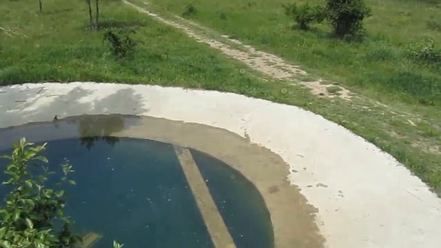 О БЕЛОГОРСКОМ ПАРКЕ ЛЬВОВ В КРЫМУ смотреть онлайн