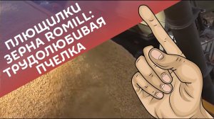 Плющилки зерна Romill: трудолюбивая пчелка