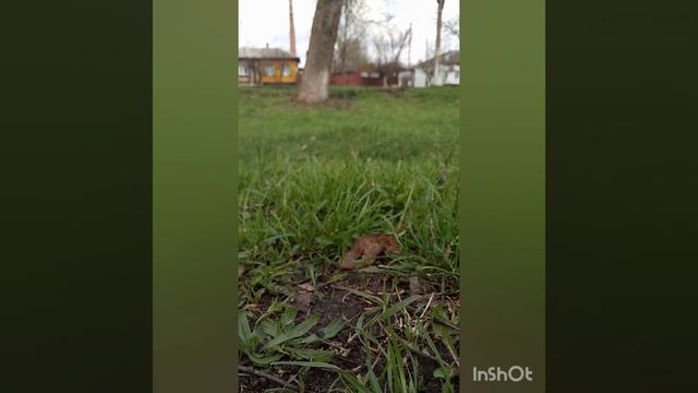 Ето первое видео 2 брата акрабата, подпишись💫🤗✨ смотреть онлайн