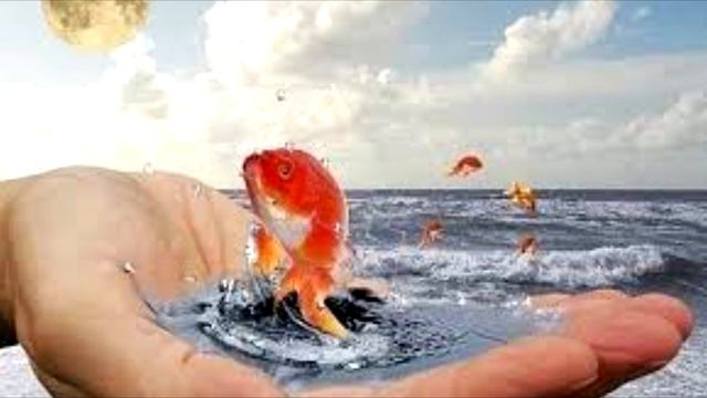 что делать когда заходишь в тупик смотреть онлайн