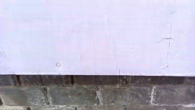 Садим цветочки: бархатцы и петунии смотреть онлайн