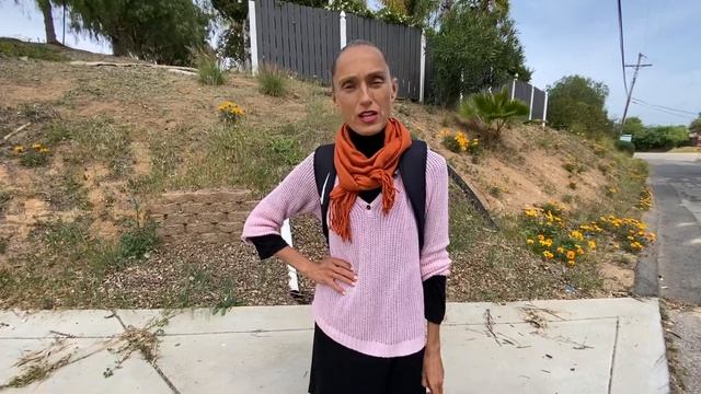 Что значит тотем Козы. Почему они бывают озабоченными, не стабильными и тревожными? смотреть онлайн