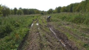 Дмитрий Мусихин "Шикарные находки на дороге."